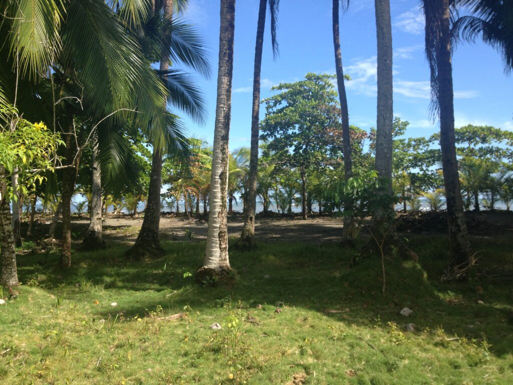 Beach Front lot for sale in Chiriqui