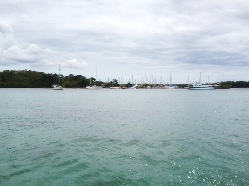 Property in Bocas del Toro Panama