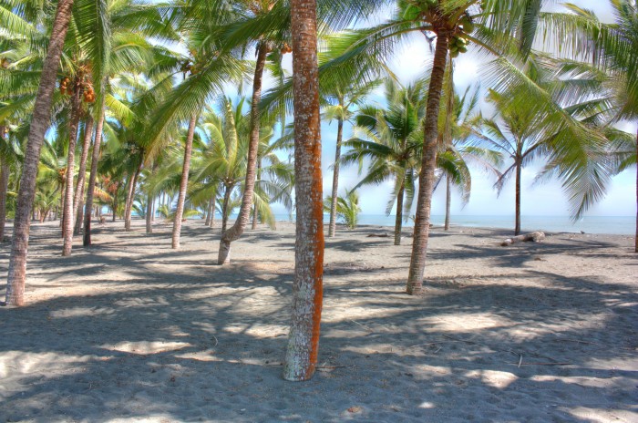 Beachfront Property in Panama