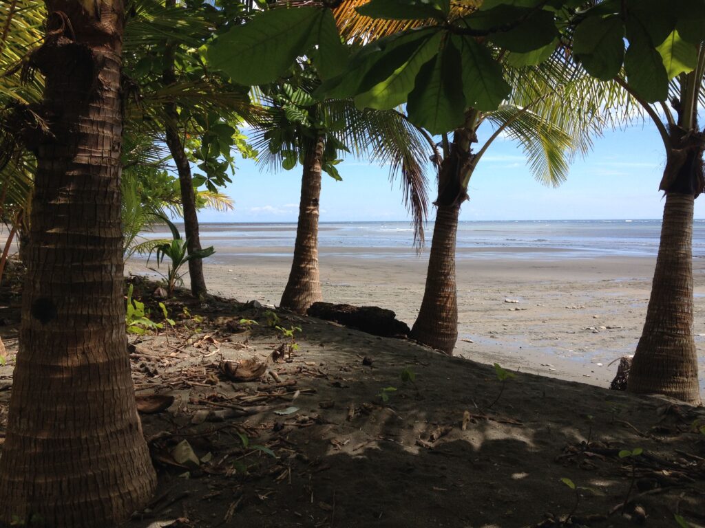 Beach Front lot for sale in Chiriqui